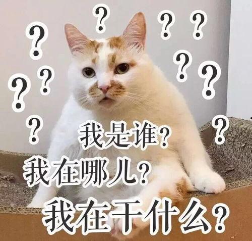 我是谁？,我是谁？人生探索之旅