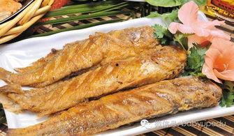 鲁菜 第一季,传承与创新，探寻山东美食的千年韵味